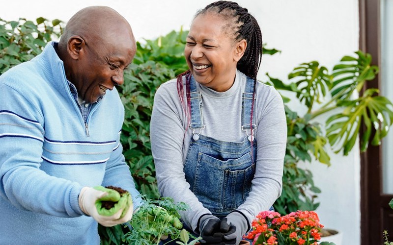 Adobestock 566809395