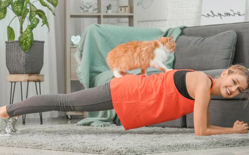 Hoe overleef ik de zomer