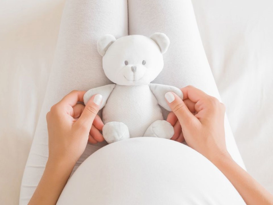 Adobestock 301917375