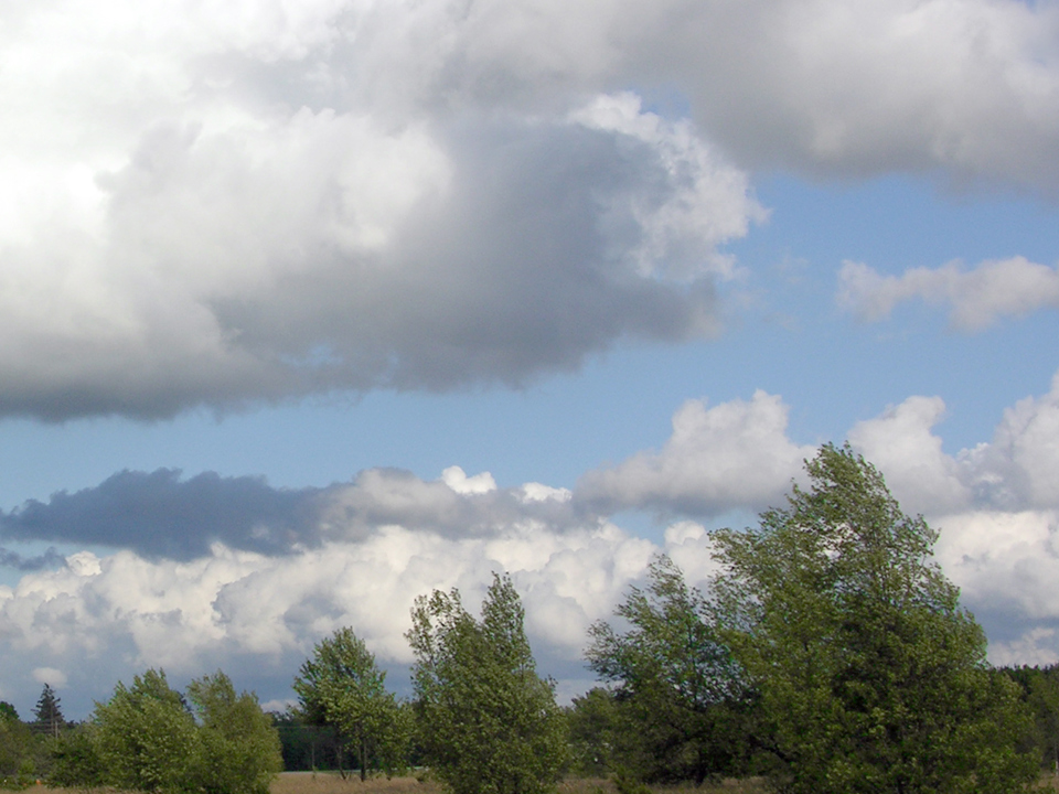 Featuredimage 1